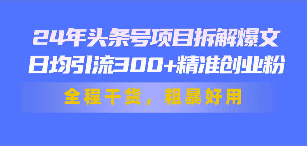 24年头条号项目拆解爆文，日均引流300+精准创业粉，全程干货，粗暴好用-博学技术网