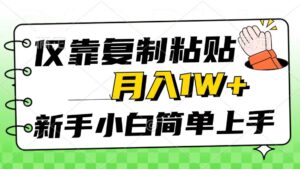 （10461期）仅靠复制粘贴，被动收益，轻松月入1w+，新手小白秒上手，互联网风口项目-博学技术网