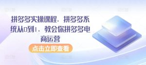 拼多多实操课程，拼多多系统从0到1，教会你拼多多电商运营-博学技术网