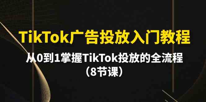 （10085期）TikTok广告投放入门教程，从0到1掌握TikTok投放的全流程（8节课）-博学技术网