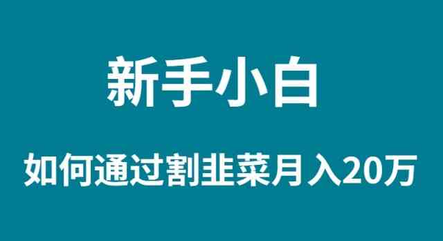 （9308期）新手小白如何通过割韭菜月入 20W-博学技术网