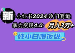 （9133期）小红书2024冷门赛道 月入3万+ 暴力变现4.0 纯小白喂饭级-博学技术网
