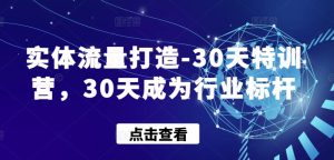 实体流量打造-30天特训营，30天成为行业标杆-博学技术网