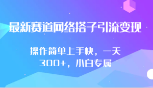 最新赛道网络搭子引流变现!!操作简单上手快，一天300+，小白专属-博学技术网