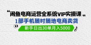 闲鱼电商运营全系统VIP实战课，1部手机随时随地卖货，新手日出30单月入5000-博学技术网