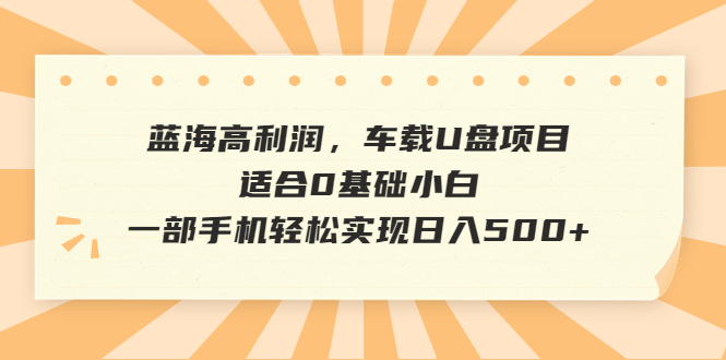 蓝海高利润，车载U盘项目，适合0基础小白，一部手机轻松实现日入500+-博学技术网