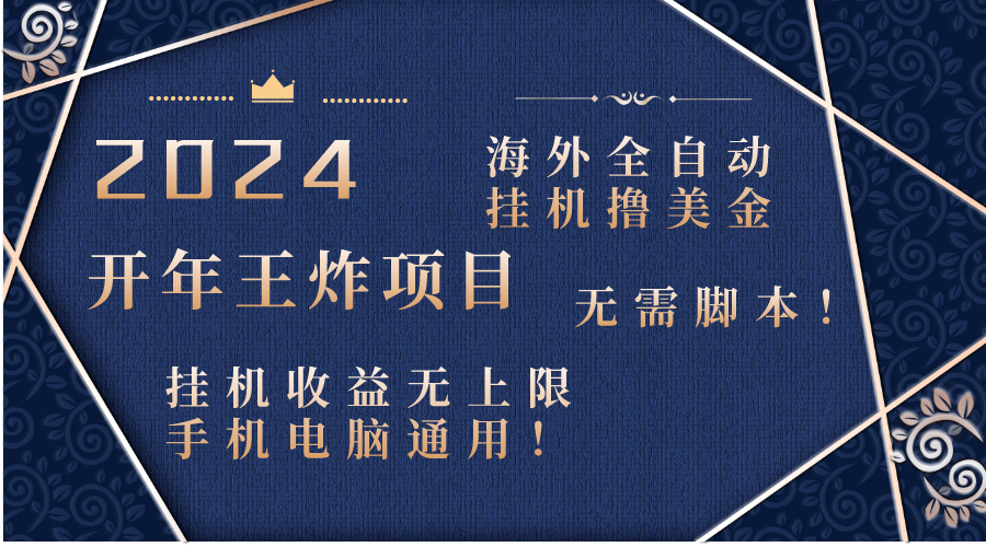 2024海外全自动挂机撸美金项目！手机电脑均可，无需脚本，收益无上限！-博学技术网