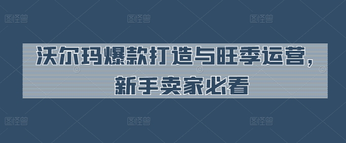 沃尔玛爆款打造与旺季运营，新手卖家必看-博学技术网