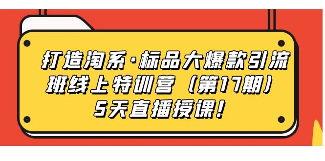 打造淘系·标品大爆款引流班线上特训营（第17期）5天直播授课！-博学技术网