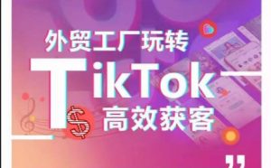 外贸工厂玩转TikTok高效获客，多种引流方式与账号定位技巧，拆解爆款短视频打造成功案例-博学技术网