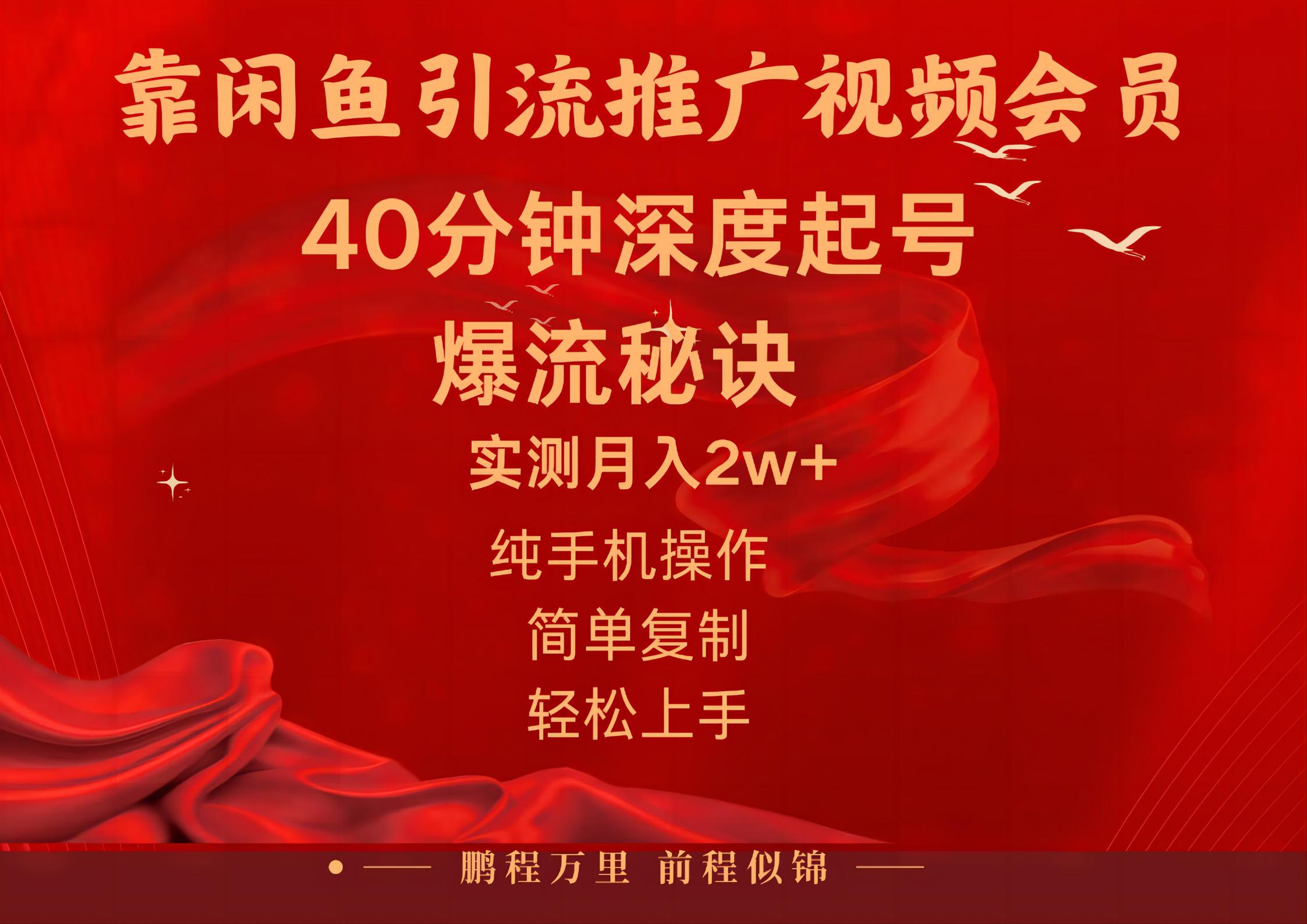 闲鱼暴力引流推广视频会员，能做到日入2W+，操作简单-博学技术网