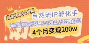 某社群收费培训：自然流IP 孵化手-14天线上实操训练营 4个月变现200w-博学技术网