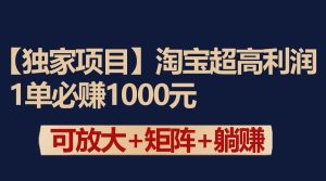 独家淘宝超高利润项目：1单必赚1000元，可放大可矩阵操作-博学技术网