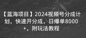 【蓝海项目】2024视频号分成计划，快速开分成，日爆单8000+，附玩法教程-博学技术网