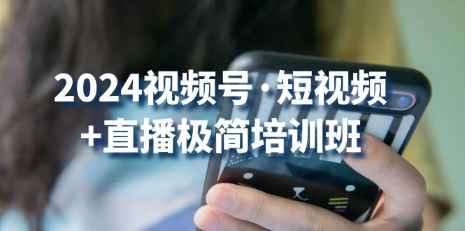 （10797期）2024视频号·短视频+直播极简培训班：抓住视频号风口，流量红利-博学技术网