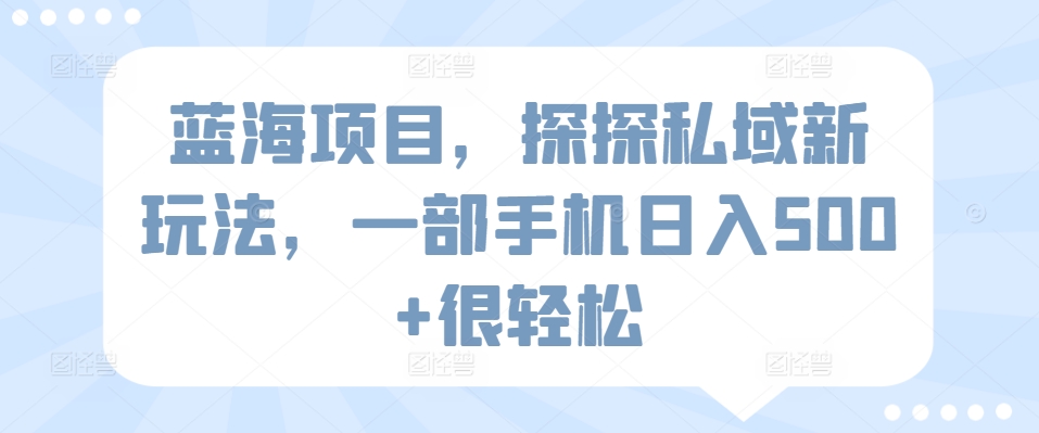 蓝海项目，探探私域新玩法，一部手机日入500+很轻松-博学技术网