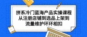 （9527期）拼系冷门蓝海产品实操课程，从注册店铺到选品上架到流量维护环环相扣-博学技术网