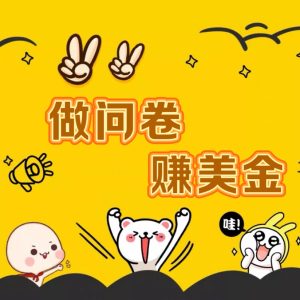 国外问卷调查小白家也可批量操作（口子查站点查渠道查）真正的长久稳定项目 日入1500+-博学技术网