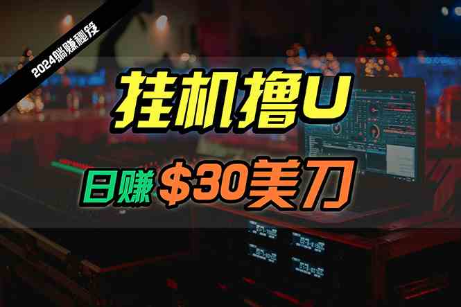 （10013期）日赚30美刀，2024最新海外挂机撸U内部项目，全程无人值守，可批量放大-博学技术网
