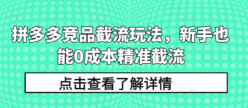 拼多多竞品截流玩法，新手也能0成本精准截流-博学技术网