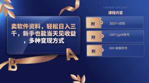 卖软件资料，轻松日入三千，新手也能当天见收益，多种变现方式-博学技术网