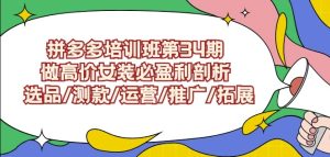 拼多多培训班第34期:做高价女装必盈利剖析选品/测款/运营/推广/拓展-博学技术网