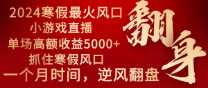 2024年最火寒假风口项目 小游戏直播 单场收益5000+抓住风口 一个月直接提车-博学技术网
