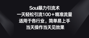 Soul暴力引流术，一天轻松引流100＋精准流量，适用于各行业，简单易上手！-博学技术网