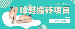 【搬砖必备】外面收费998的球鞋搬砖项目，月入轻松5000+的项目案例解析-博学技术网