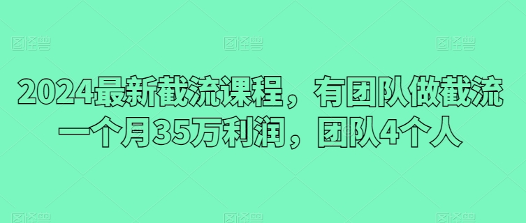 2024最新截流课程，有团队做截流一个月35万利润，团队4个人-博学技术网