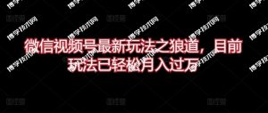微信视频号最新玩法之狼道，目前玩法已轻松月入过万-博学技术网
