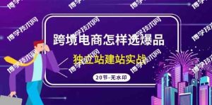 （9369期）跨境电商怎样选爆品，独立站建站实战（20节高清无水印课）-博学技术网