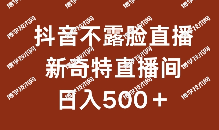 不露脸挂机直播，新奇特直播间，日入500+-博学技术网