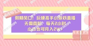 假期风口!玩梗高手小游戏直播,无需露脸,每天2小时,小白也可月入2W+-博学技术网