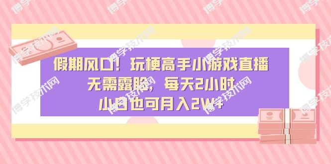 假期风口！玩梗高手小游戏直播，无需露脸，每天2小时，小白也可月入2W+-博学技术网