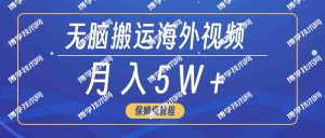 （9361期）无脑搬运海外短视频，3分钟上手0门槛，月入5W+-博学技术网
