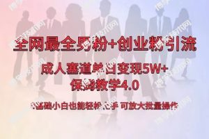 全网首发成人用品单日卖货5W+,最全男粉+创业粉引流玩法,小白也能轻松… -博学技术网