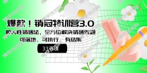 爆款！销冠特训营3.0之顺人性销售法，全方位解决销售难题、可落地-博学技术网