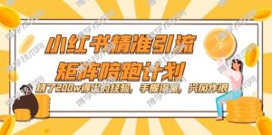 小红书精准引流·矩阵陪跑计划：烧了200w得出的经验，手握流量，兴风作浪！-博学技术网