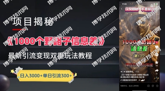 一千个野路子信息差最新玩法教程-变现+引流的玩法具体拆解-博学技术网