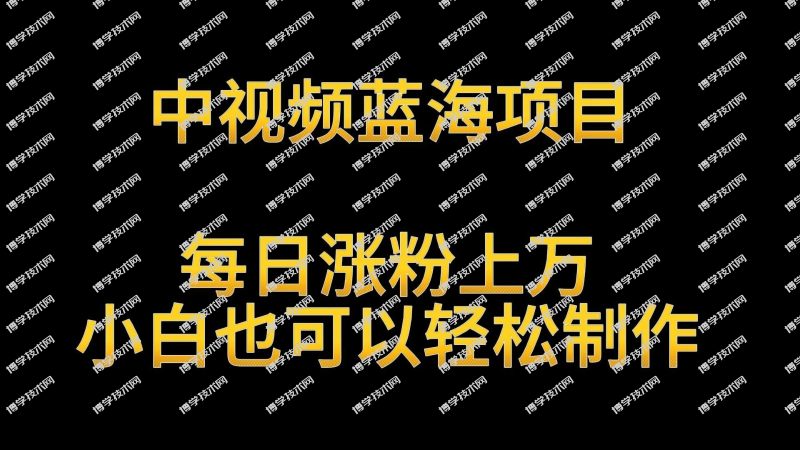 中视频蓝海项目，解读英雄人物生平，每日涨粉上万，小白也可以轻松制作，月入过万-博学技术网