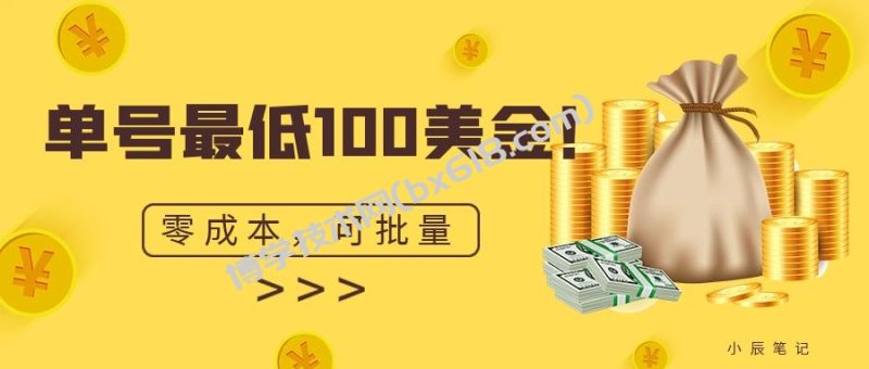 单号最低100美金，零成本，小白无脑操作。可复制，可扩大。-博学技术网