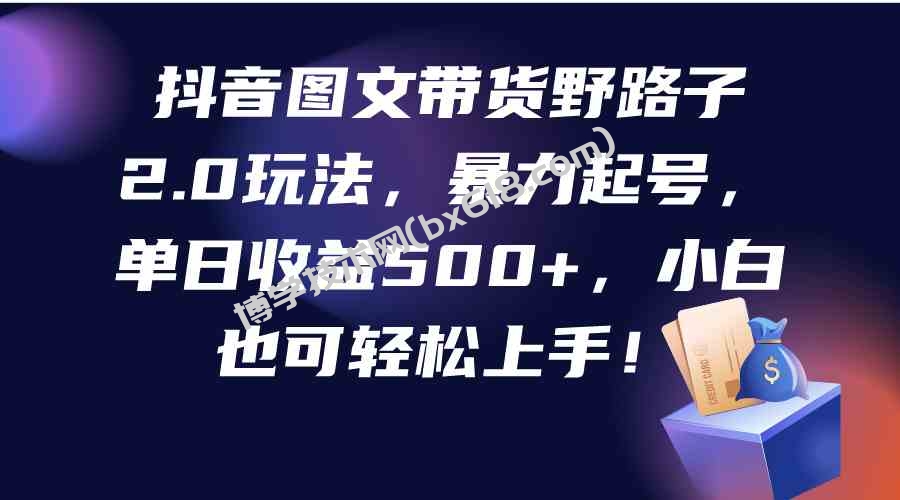 （9790期）抖音图文带货野路子2.0玩法，暴力起号，单日收益500+，小白也可轻松上手！-博学技术网