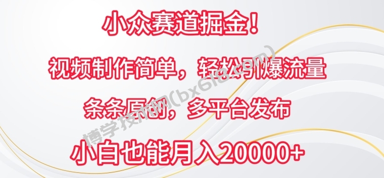 小众赛道掘金，视频制作简单，轻松引爆流量，条条原创，多平台发布-博学技术网