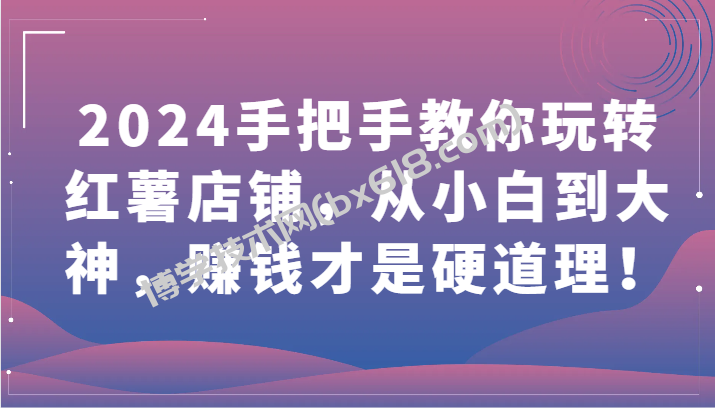 2024手把手教你玩转红薯店铺，从小白到大神，赚钱才是硬道理！-博学技术网