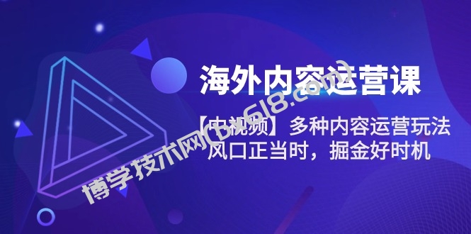 海外内容运营课【中视频】多种内容运营玩法 风口正当时 掘金好时机（101节）-博学技术网