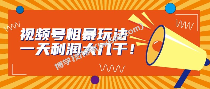 视频号粗暴玩法，一天利润大几千！-博学技术网
