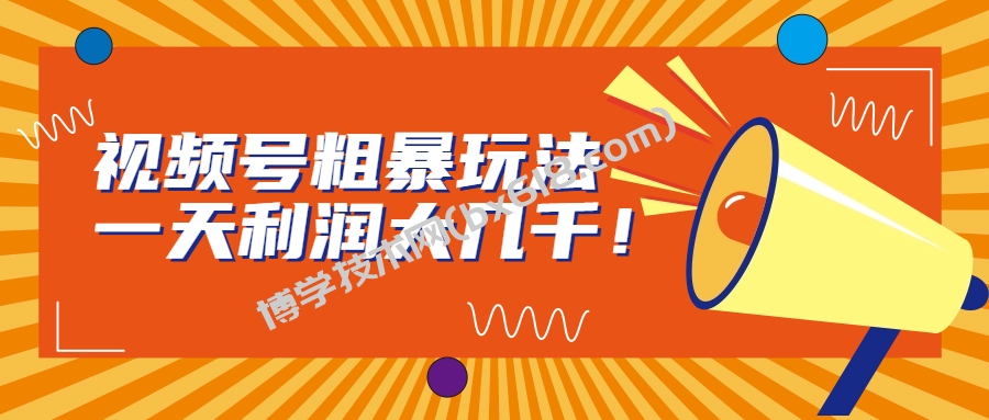 视频号粗暴玩法，一天利润大几千！-博学技术网