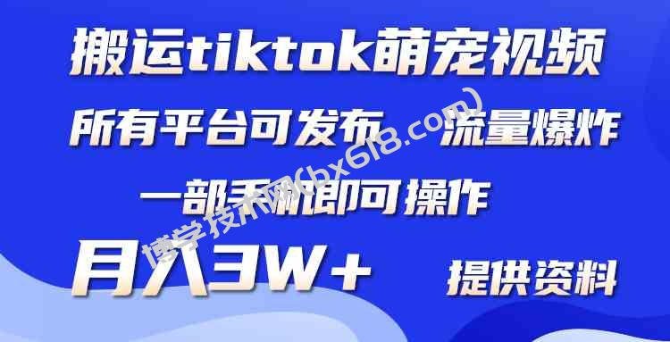 （9618期）搬运Tiktok萌宠类视频，一部手机即可。所有短视频平台均可操作，月入3W+-博学技术网