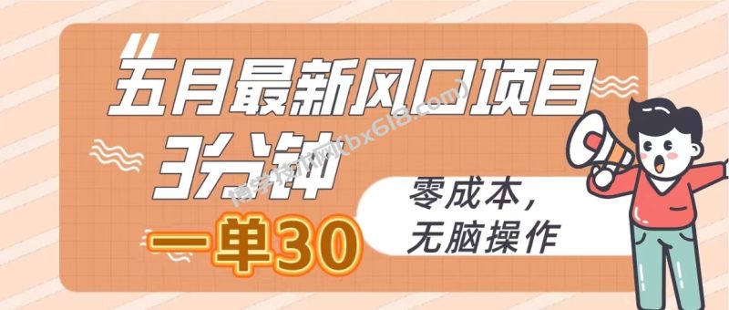 （10256期）五月最新风口项目，3分钟一单30，零成本，无脑操作-博学技术网